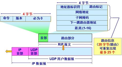 計算機網(wǎng)絡(luò) 謝希仁版第四章節(jié)《網(wǎng)絡(luò)層》重點解析與安裝維護要點